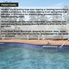 Stainless Steel Pool Brush Set & Pumice Stone for Rust Stains & Calcium Removal