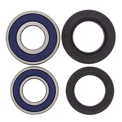Racing Rear Wheel Bearing Kit 25-1113 Compatible with/Replacement for Honda