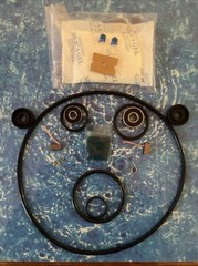Dolphin Housing Impeller Motor 5500026 Repair Kit + Capacitor No Diverter Seals