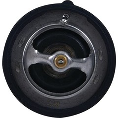 Racing 16-3004 Thermostat Compatible with/Replacement for Polaris General