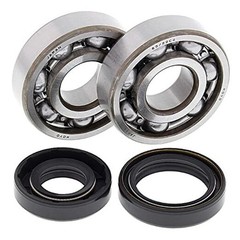 Racing 24-1008 Crank Shaft Bearing Kit Compatible with/Replacement for