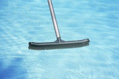 Heavy-Duty 18&Prime; Stainless Steel Pool Algae Brush – Aluminum Back for Gunite Pools