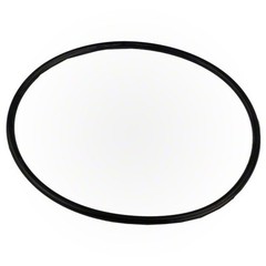 Pentair Rainbow Kreepy 186 Pool Leaf Trap Lid O-Ring O-330 R172223