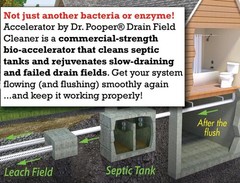 2-Pack Dr Pooper septic tablets clear tough clogs, sludge, odors fast. Just flus