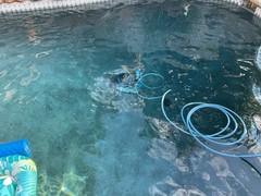 Dolphin Premier Pool Robotic Pool Vacuum