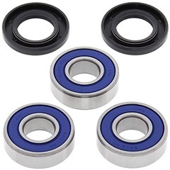 Racing 25-1033 Rear Wheel Bearing Kit Compatible with/Replacement for