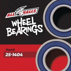 Wheel Bearing Seal Kit 25-1404 Compatible with/Replacement for Beta RR 2T 250