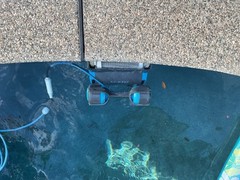 Dolphin Premier Pool Robotic Pool Vacuum