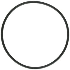 1132+ Zodiac Jandy Lid O-Ring