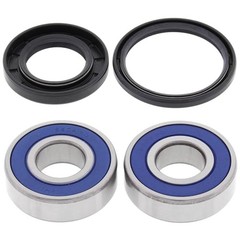 Racing 25-1380 Wheel Bearing Kit Compatible with/Replacement for Honda Suzuki