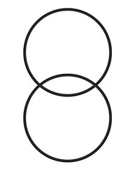 27001-0061S Tank O-Rings Fit for Pentair Sta-Rite System 2 PLM/PLD Series Pool