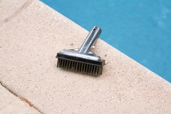 5-Inch Stainless Steel Pool Algae Detail Brush, Heavy-Duty Aluminum Back, for Gu