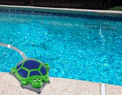 Polaris 65 Turtle 6-130-0T Pressure-Side Above Ground Swimming Pool Cleaner