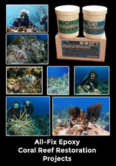 All Fix H2O EPOXY PUTTY Pool Repair Tile Gunite Stone Concrete Fiberglass Leaks