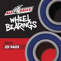 Racing 25-1403 Wheel Bearing Seal Kit Compatible with/Replacement for