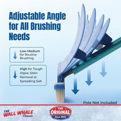 18&Prime; Swimming Pool Brush Head | More Than 10x the Brushing Force | Algae Remov…