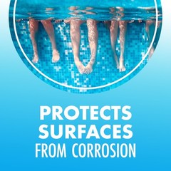 Swimming Pool Maintenance Tablets, 1 Pack, 24 Count