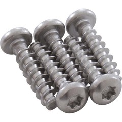 Screw, Handle Assembly, Hayward SV/SVXL/TS, M5x20mm T-20, Pan, qty 5